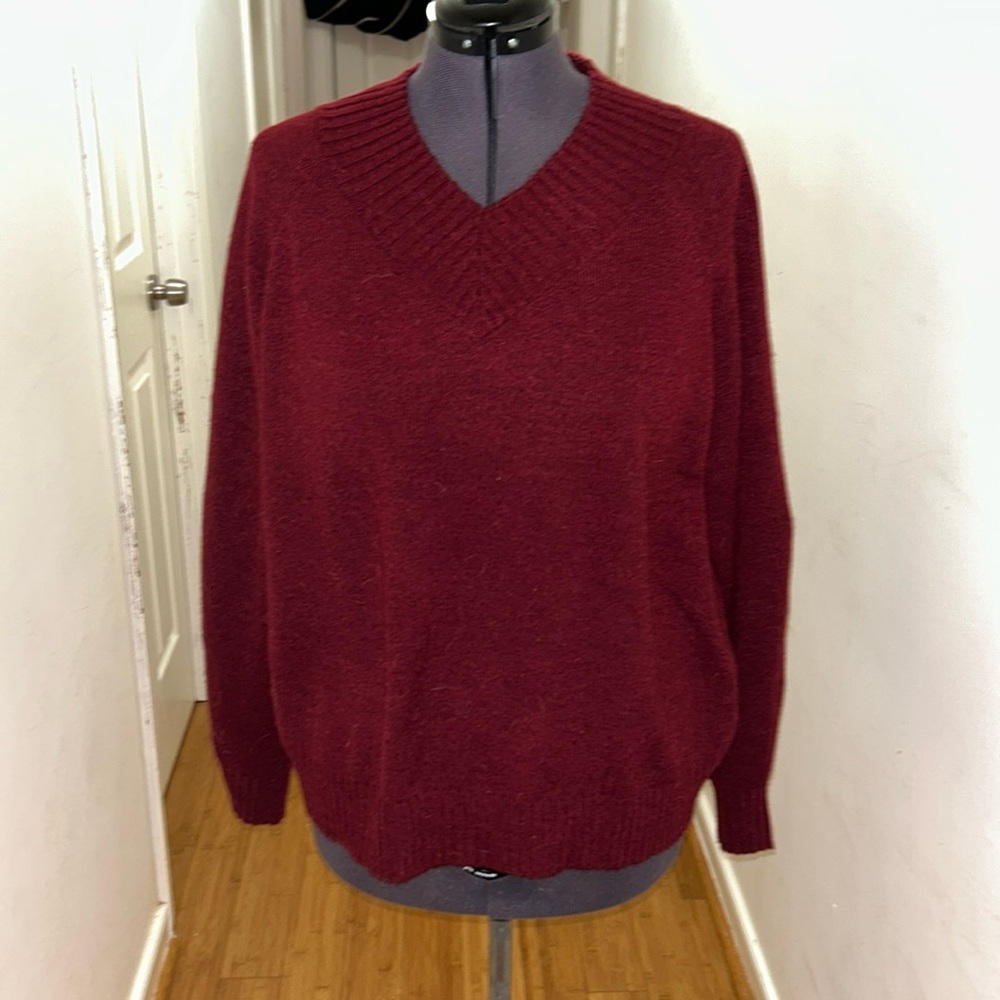NWT maroon Banana Republic v-neck sweater